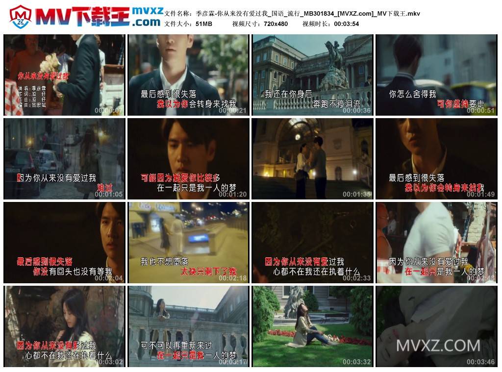 季彦霖-你从来没有爱过我_国语_流行_MB301834